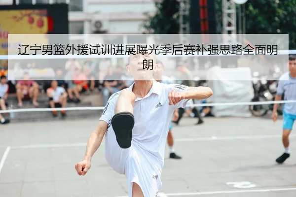 辽宁男篮外援试训进展曝光季后赛补强思路全面明朗
